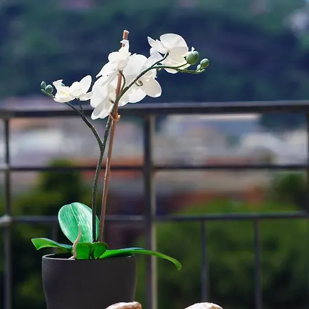 Casa Nelida, Centre Lejlighed Sorrento